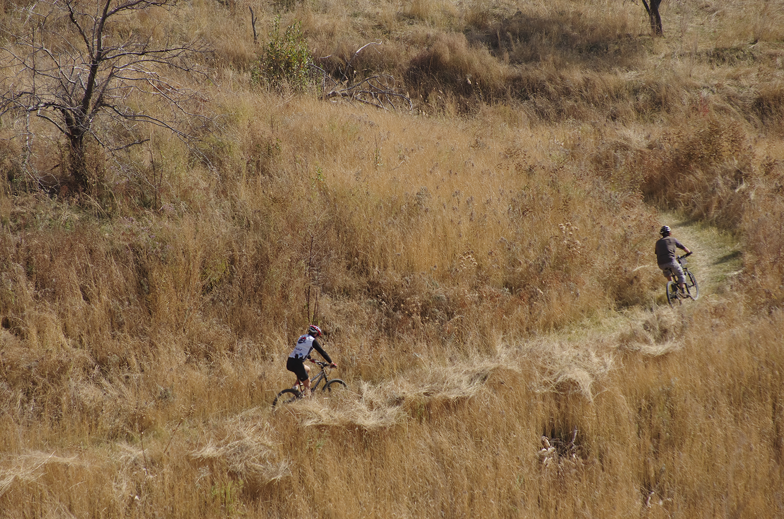 %_tempFileNameimg0284%