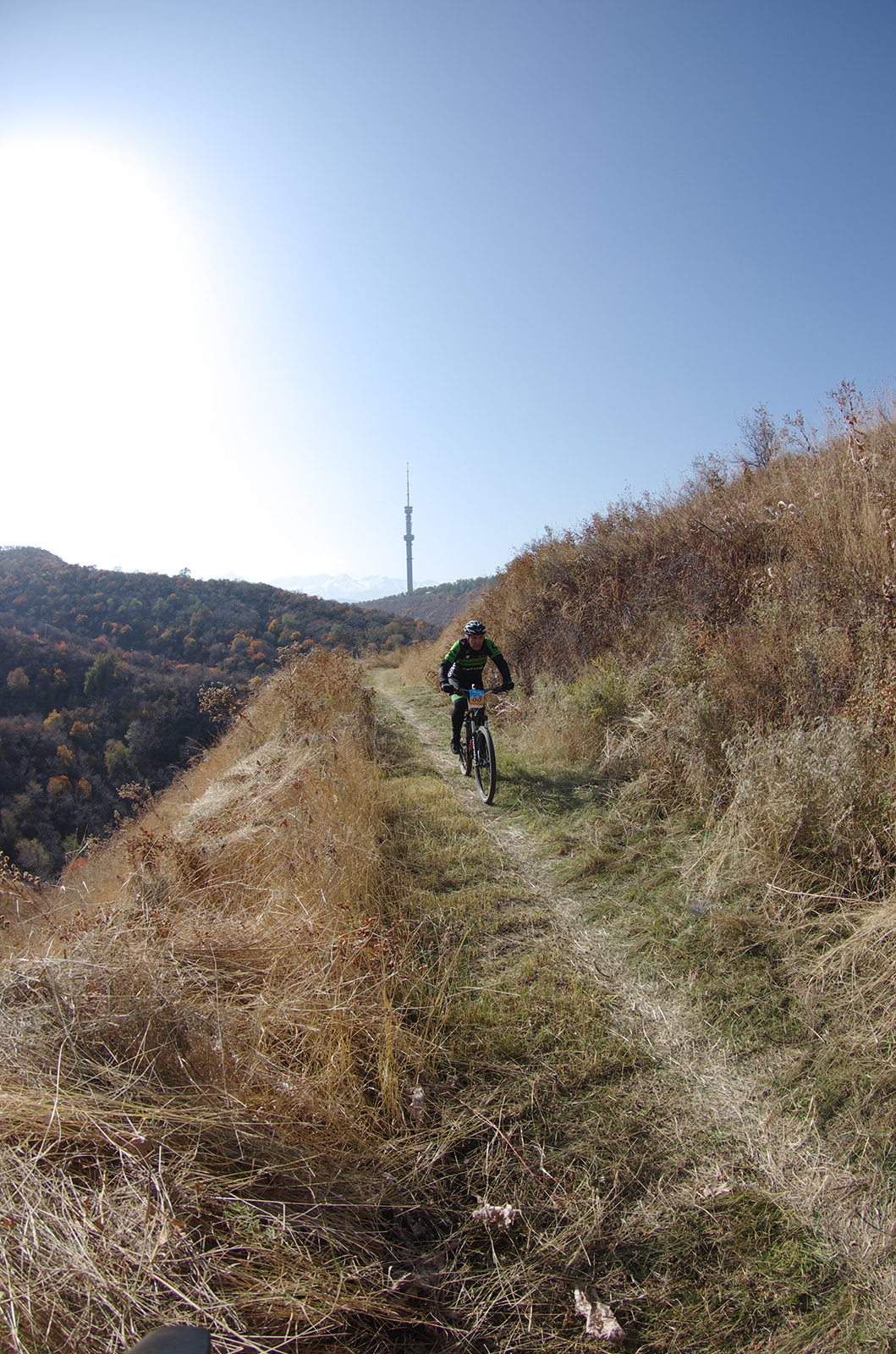 %_tempFileNameimg0330%