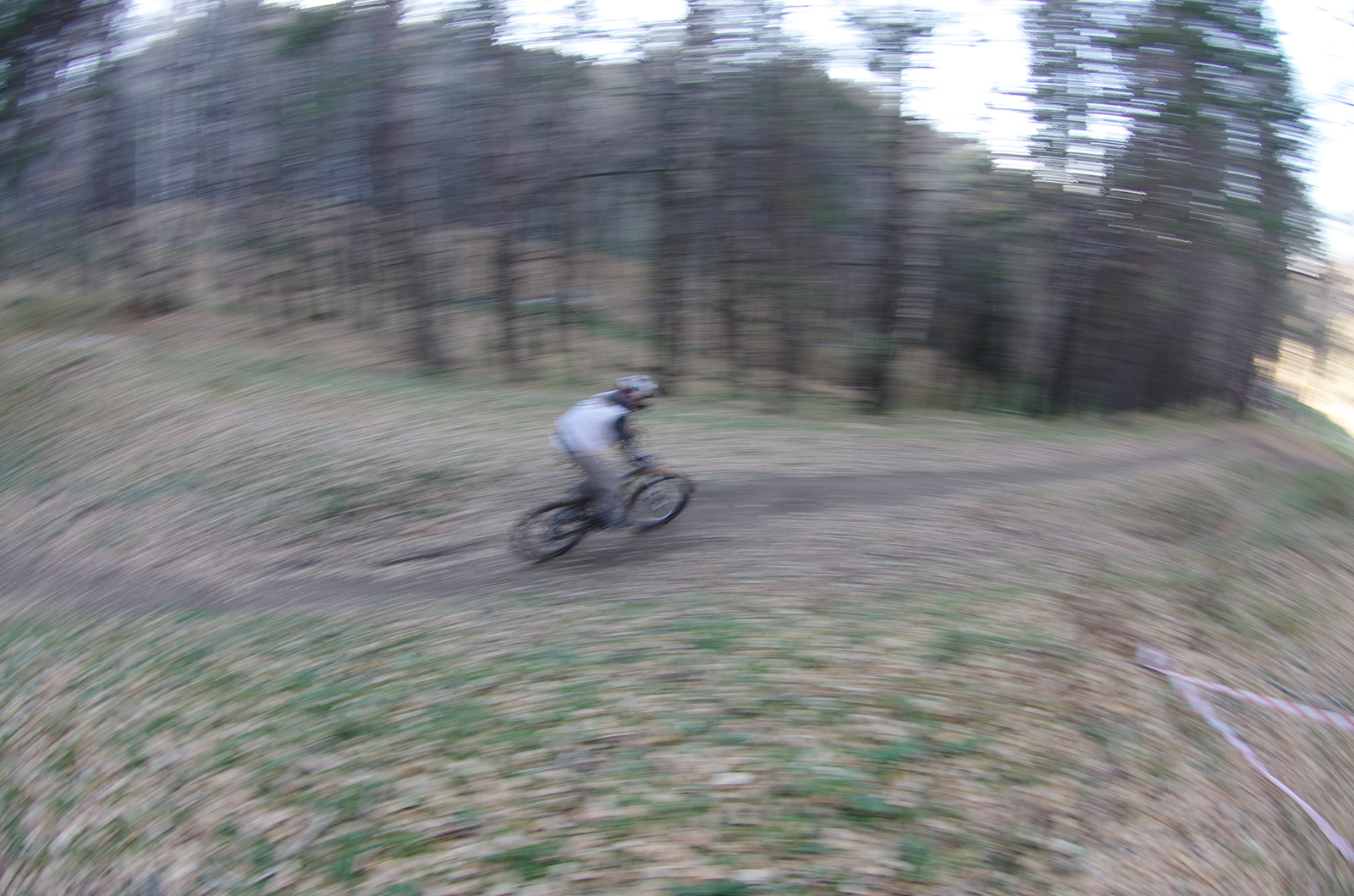 pic0592