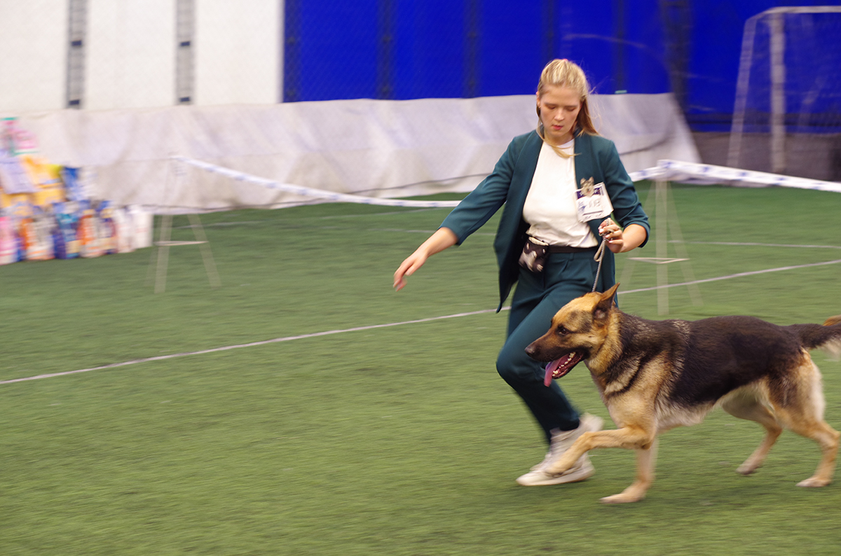 %_tempFileNameFOTO6607%