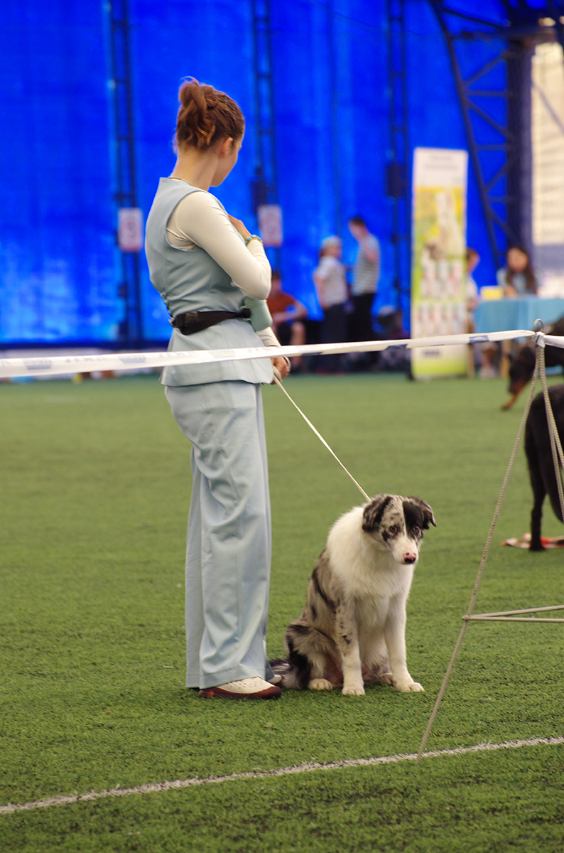 %_tempFileNameFOTO6654%