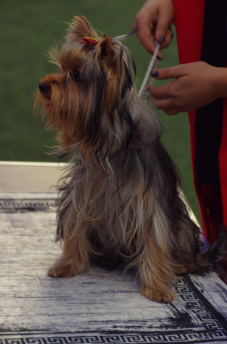 %_tempFileNameFOTO6813%