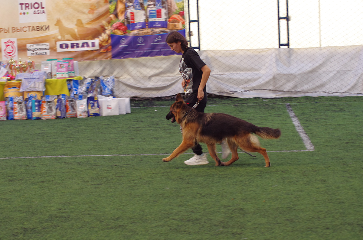 %_tempFileNameFOTO6841%