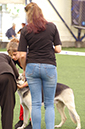 %_tempFileNameFOTO6544%