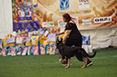 %_tempFileNameFOTO6641%