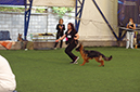 %_tempFileNameFOTO6837%