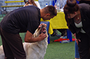 %_tempFileNameFOTO6839%