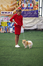 %_tempFileNameFOTO7038%