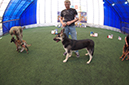 %_tempFileNameIMGP0893%